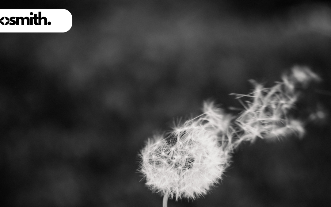 Marketing Shouldn’t Be Something That Feels Forced